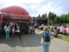 Stand der Saale Bulls